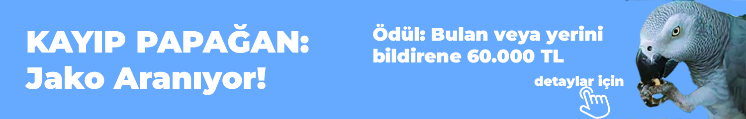 Advert