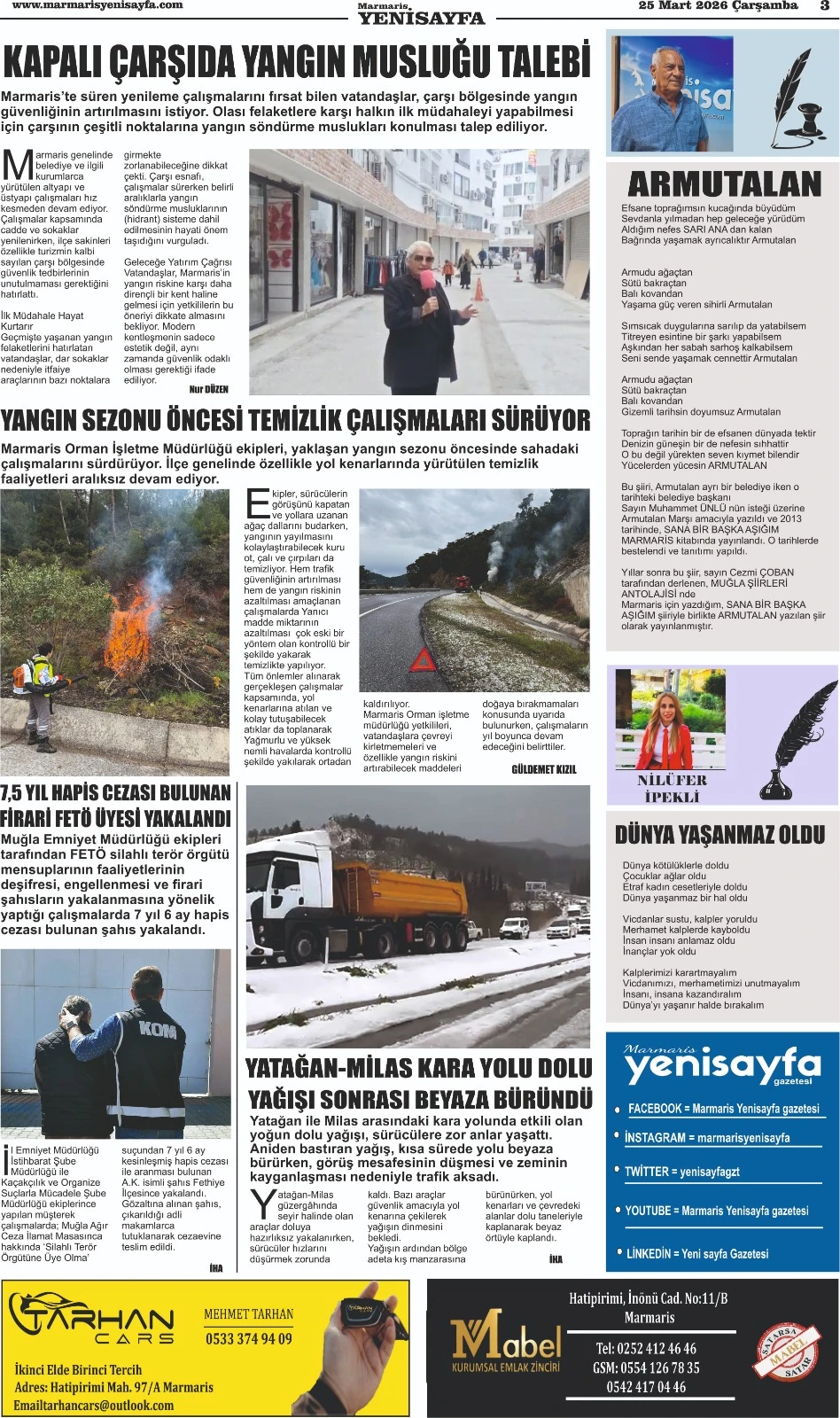 25.03.2026
