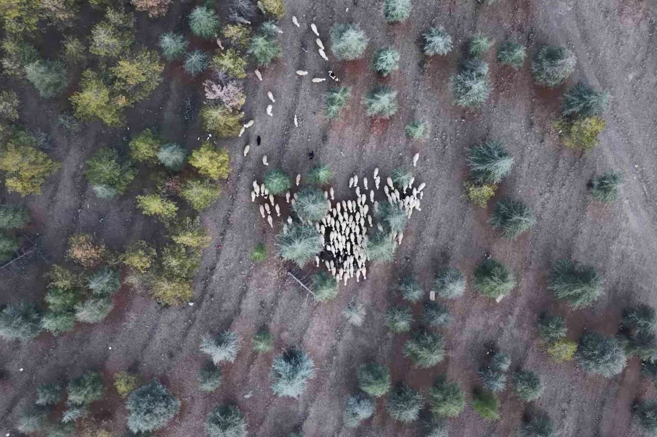 1 milyon 220 bin metrekarelik mera arazisinde "imar planı" iddiası: M&uuml;fettişler incelemeye aldı
