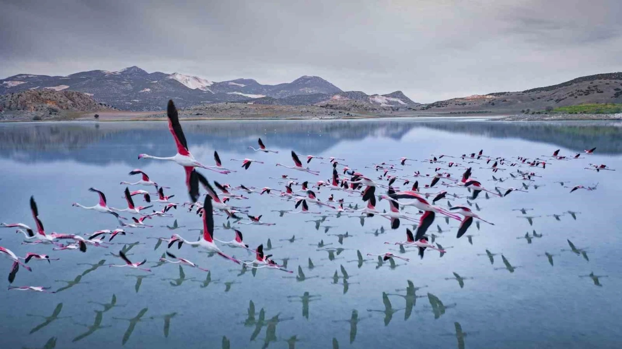2 yıl önceye kadar flamingoları ağırlayan gölde şimdi sadece ayak izleri kaldı

