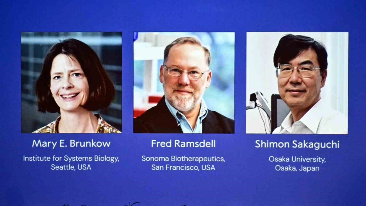 2025 Nobel Tıp Ödülü, Brunkow, Ramsdell ve Sakaguchi’nin oldu
