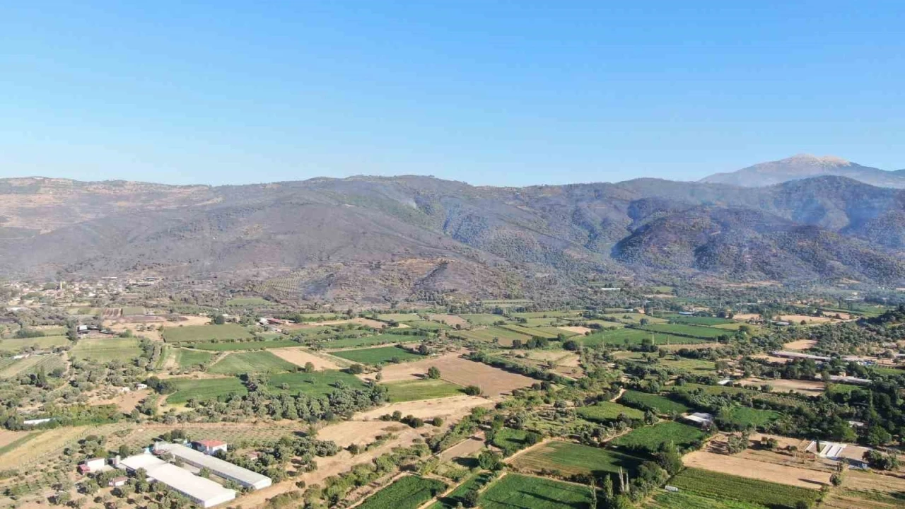 3 gündür devam eden orman yangını sonrası Ödemiş’in dağları siyaha büründü
