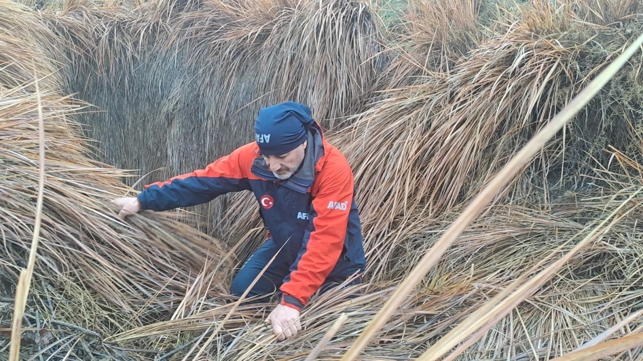 379 kişi iz takip ve kadavra k&ouml;peğiyle kayıp kadını arıyor
