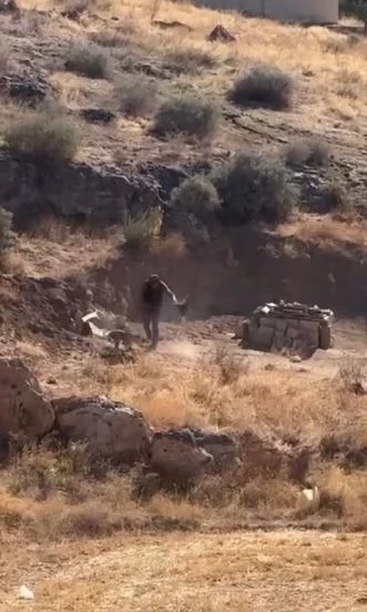 4 aylık köpeğe şiddet uygulayan şahıs gözaltına alındı
