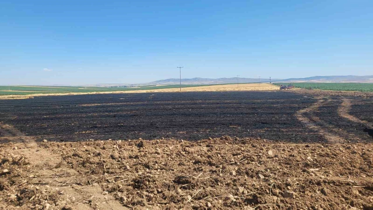 40 dönümlük buğday tarlasında korkutan yangın
