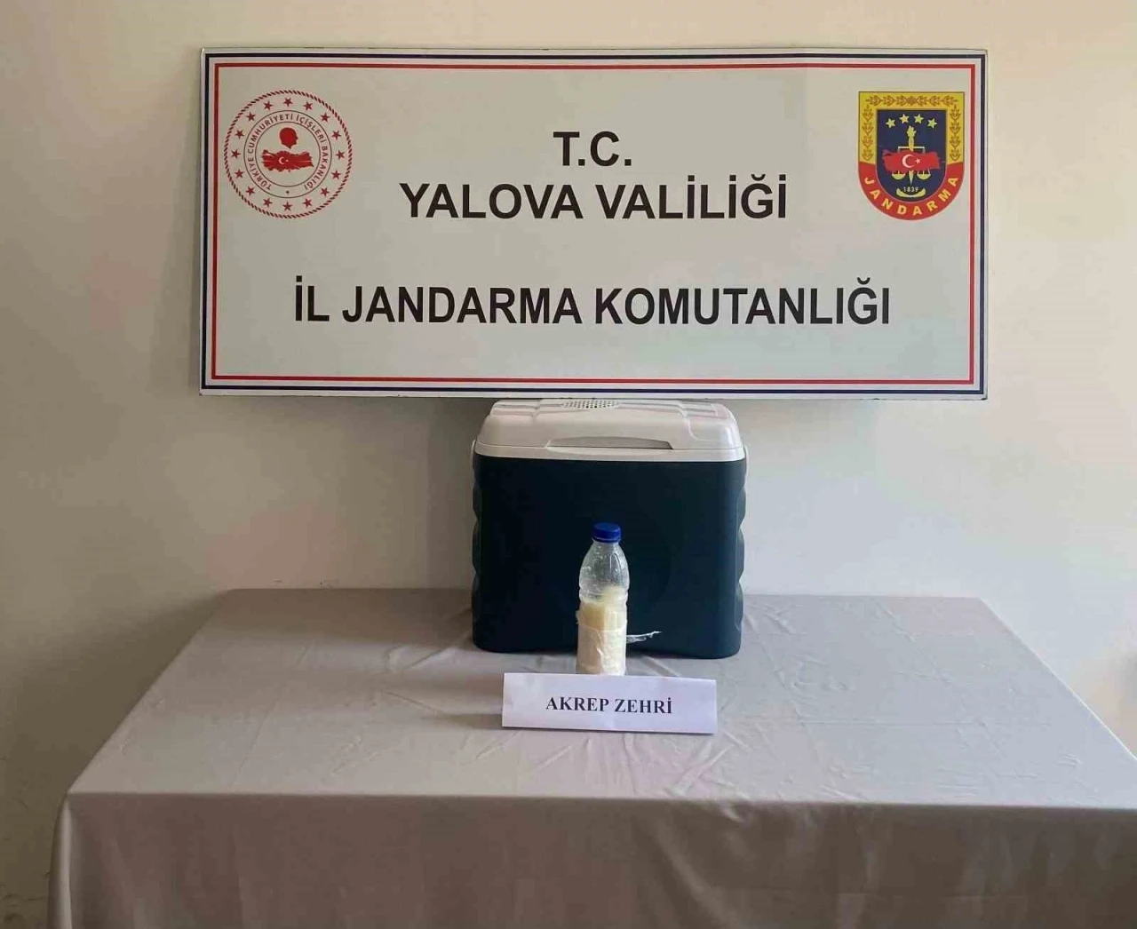 5 milyon dolarlık akrep zehri Yalova&rsquo;da yakalandı
