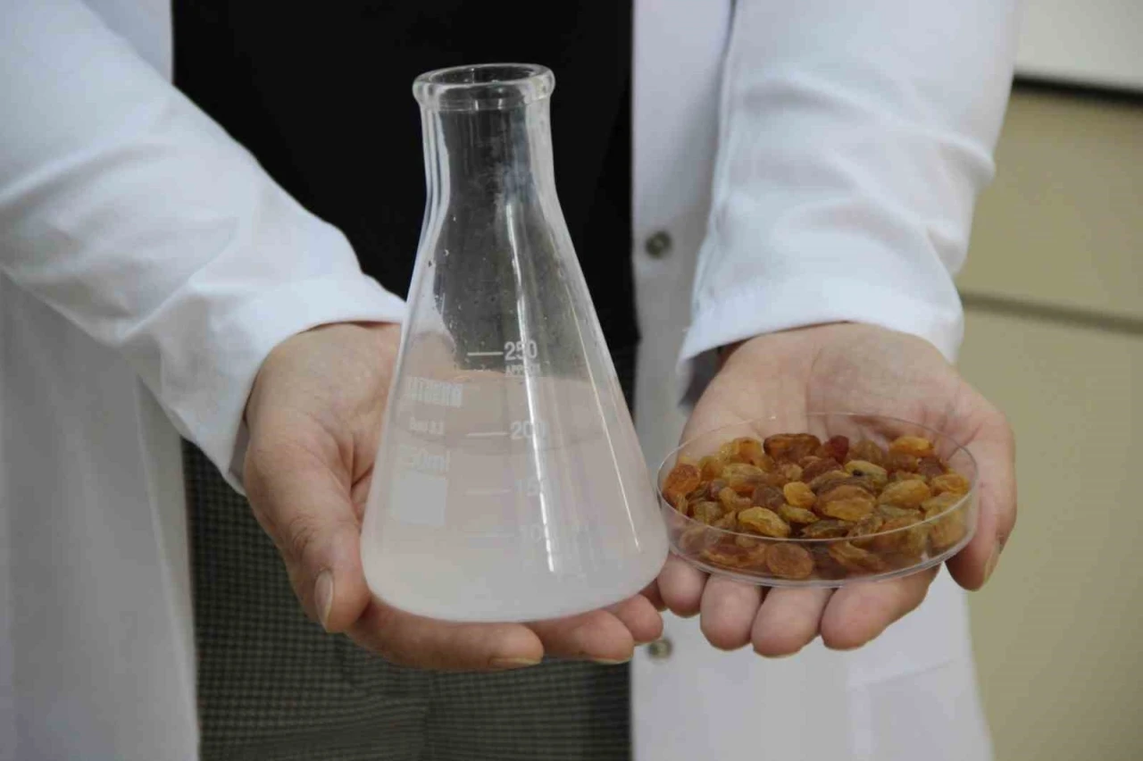 500 milyon dolarlık ihracata bilimsel kalkan
