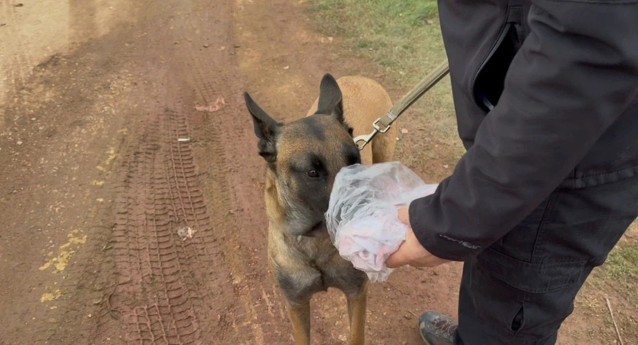 7. g&uuml;n Kapıdağ&rsquo;da umut n&ouml;beti s&uuml;r&uuml;yor
