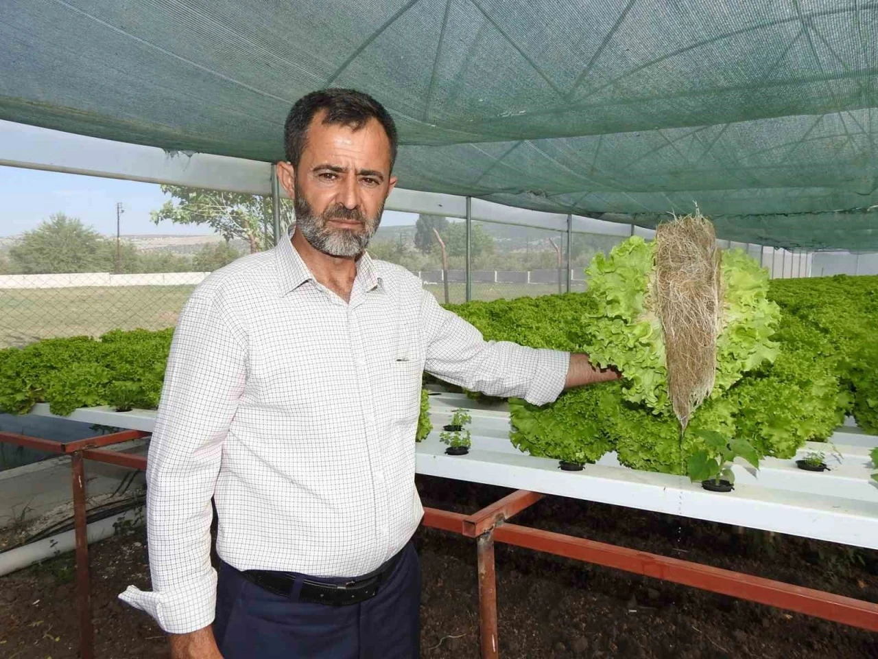 Topraksız Tarım Mucizesi