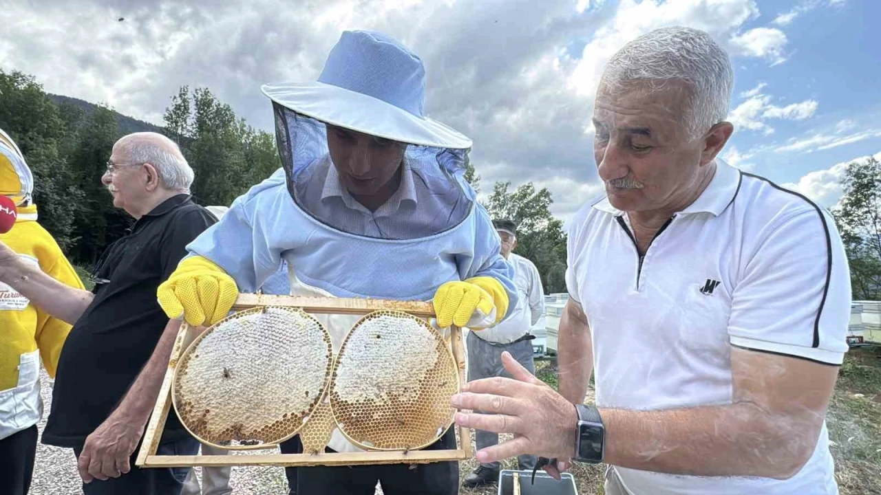 AB tescilli Yenice ıhlamur balında hasat başladı
