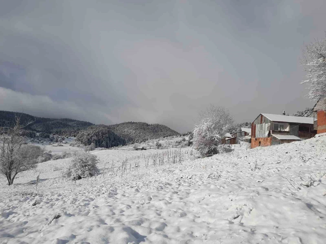 Abant ve &ccedil;evresindeki yaylalar beyaza b&uuml;r&uuml;nd&uuml;
