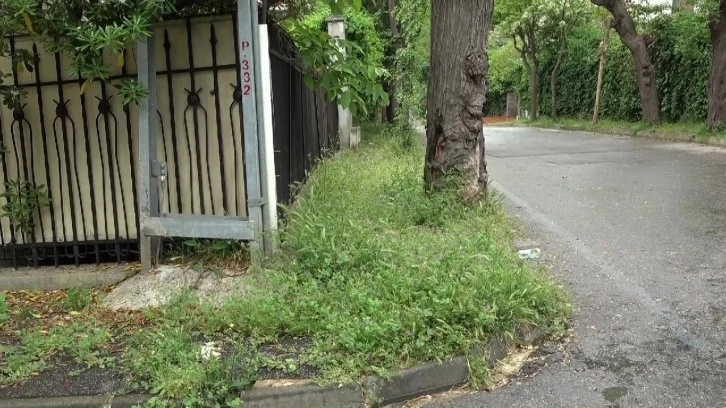 Adalar&rsquo;da &ccedil;&ouml;plerden ve otlardan ge&ccedil;ilmiyor
