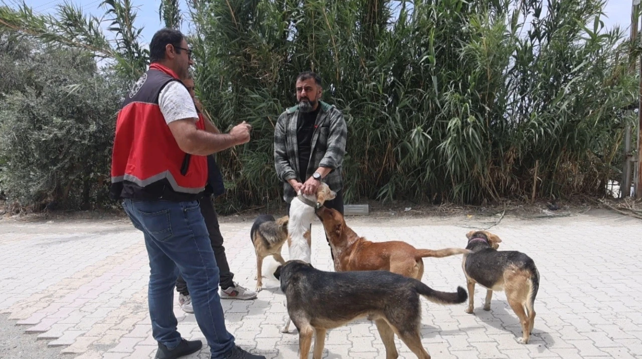 Adana&rsquo;da 2025&rsquo;te 3 bin 865 kedi ve 3 bin 577 k&ouml;peğe &ccedil;ip takıldı
