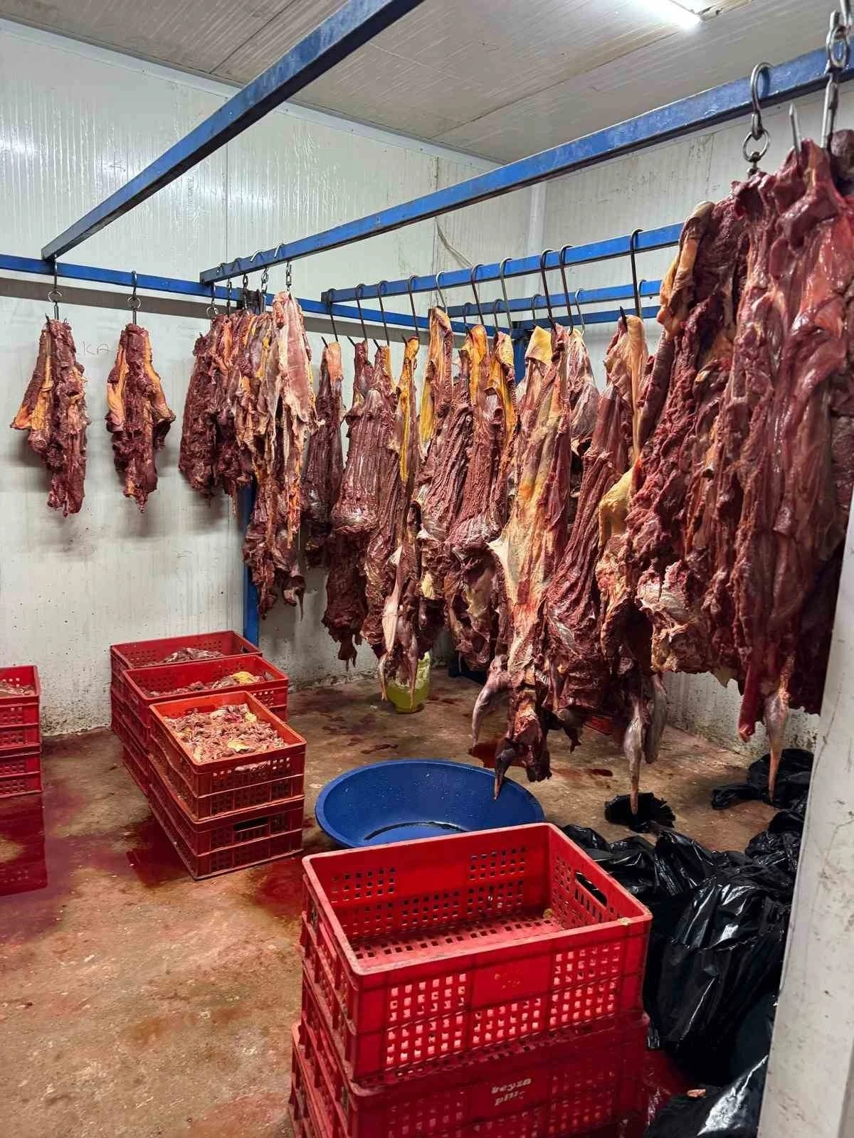 Adana’da 3 ton bozulmuş at eti ele geçirildi
