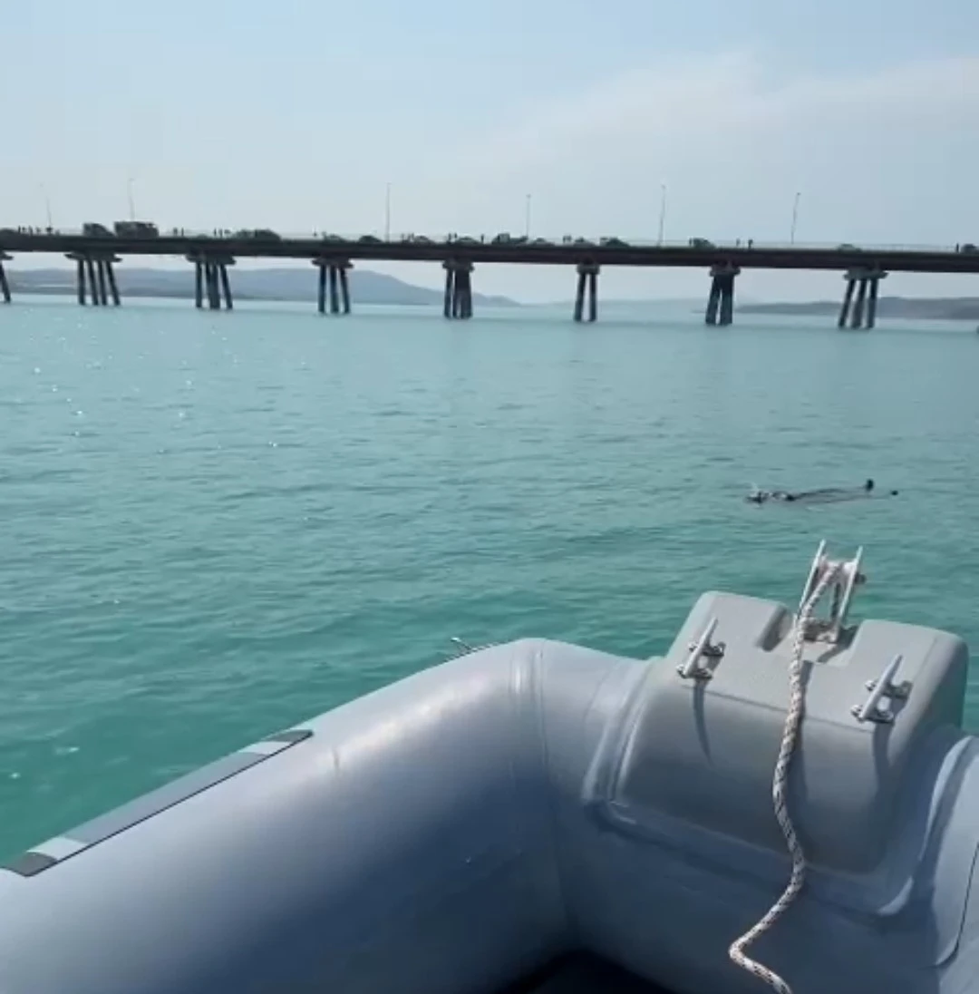 Adana’da baraj gölüne düşen kadını gemi adamlar kurtardı
