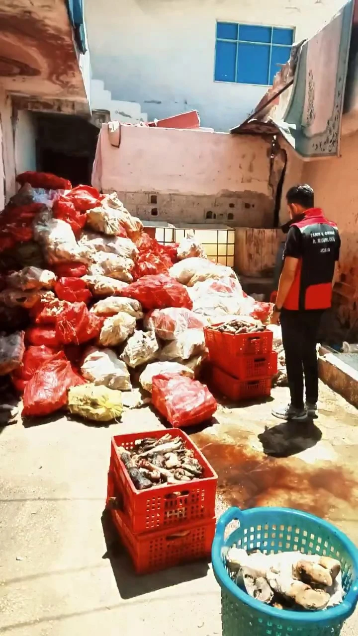 Adana’da binlerce kilo paça ele geçirildi
