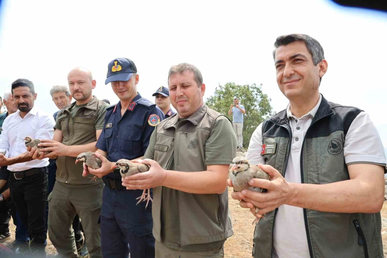Adana’da doğaya 500 keklik salındı
