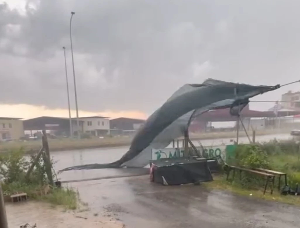 Adana&rsquo;da kuvvetli r&uuml;zgar ve yağış ekili oldu, seralar zarar g&ouml;rd&uuml;
