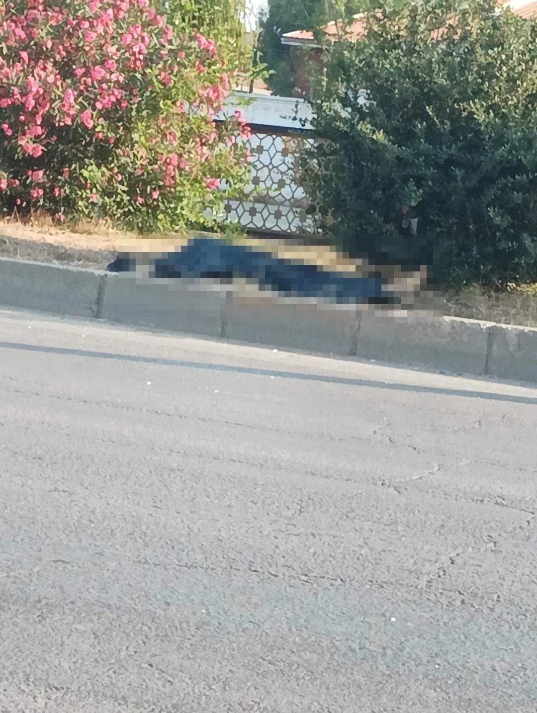 Adana&rsquo;da minib&uuml;s&uuml;n &ccedil;arptığı yaya hayatını kaybetti

