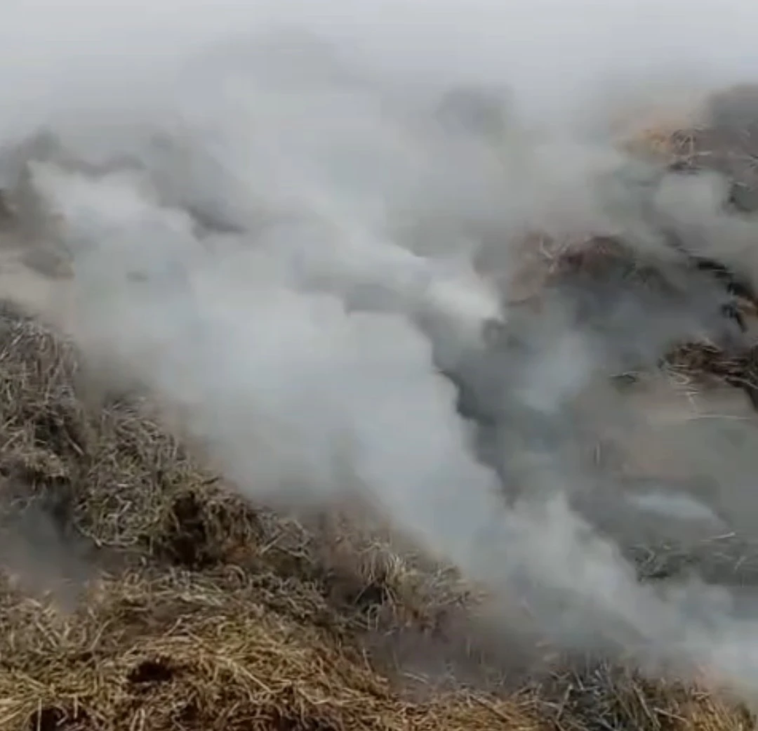 Adana&rsquo;da samanlık yangını kontrol altına alındı
