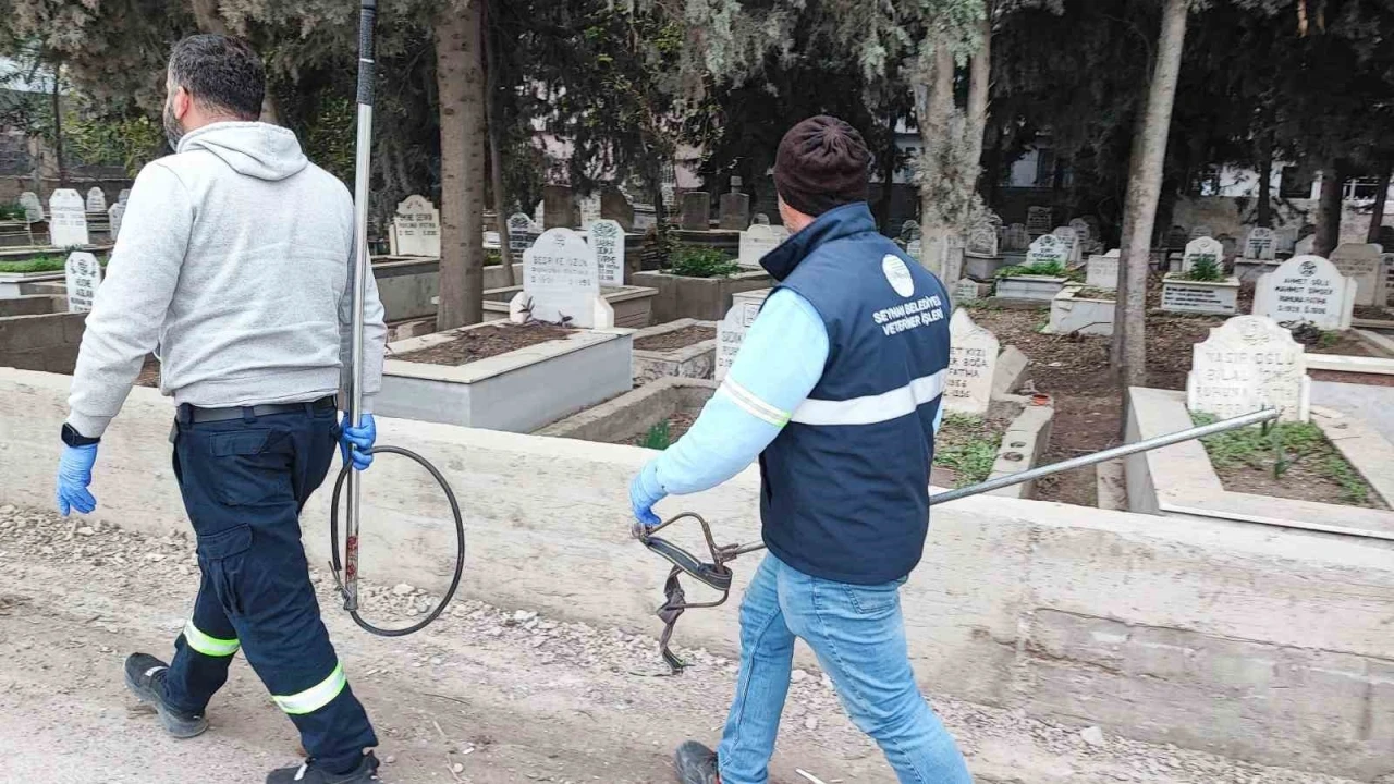 Adana&rsquo;da sokak k&ouml;peği endişesi
