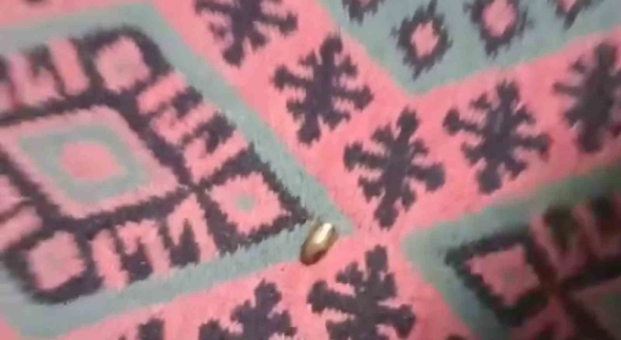 Adana’da yorgun mermi, ailenin oturduğu çardağa isabet etti
