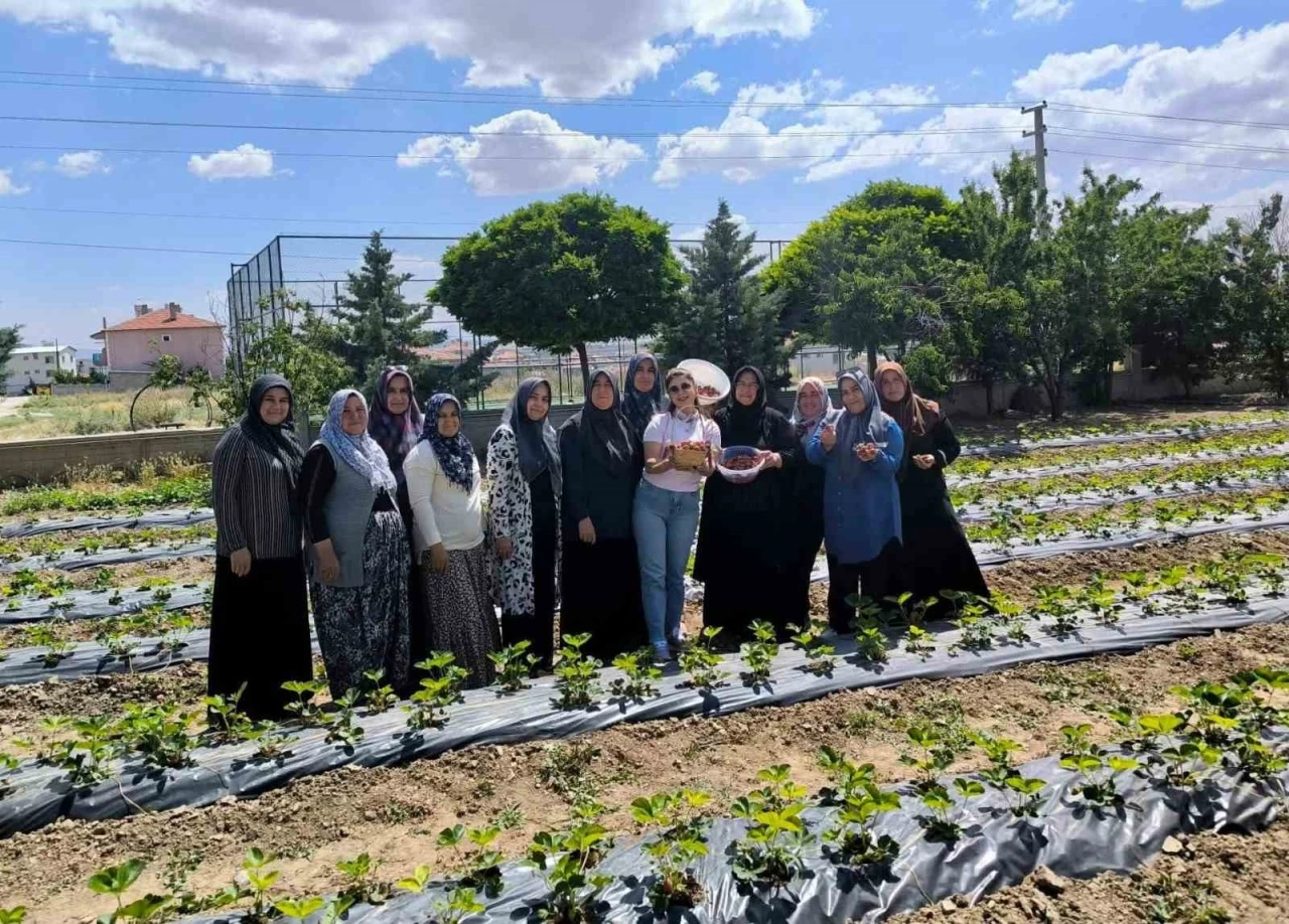 ADEM projesinde ilk &ccedil;ilek hasadı yapıldı

