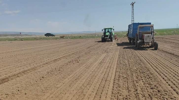 Adilcevaz’da şeker pancarı ekimine başlandı
