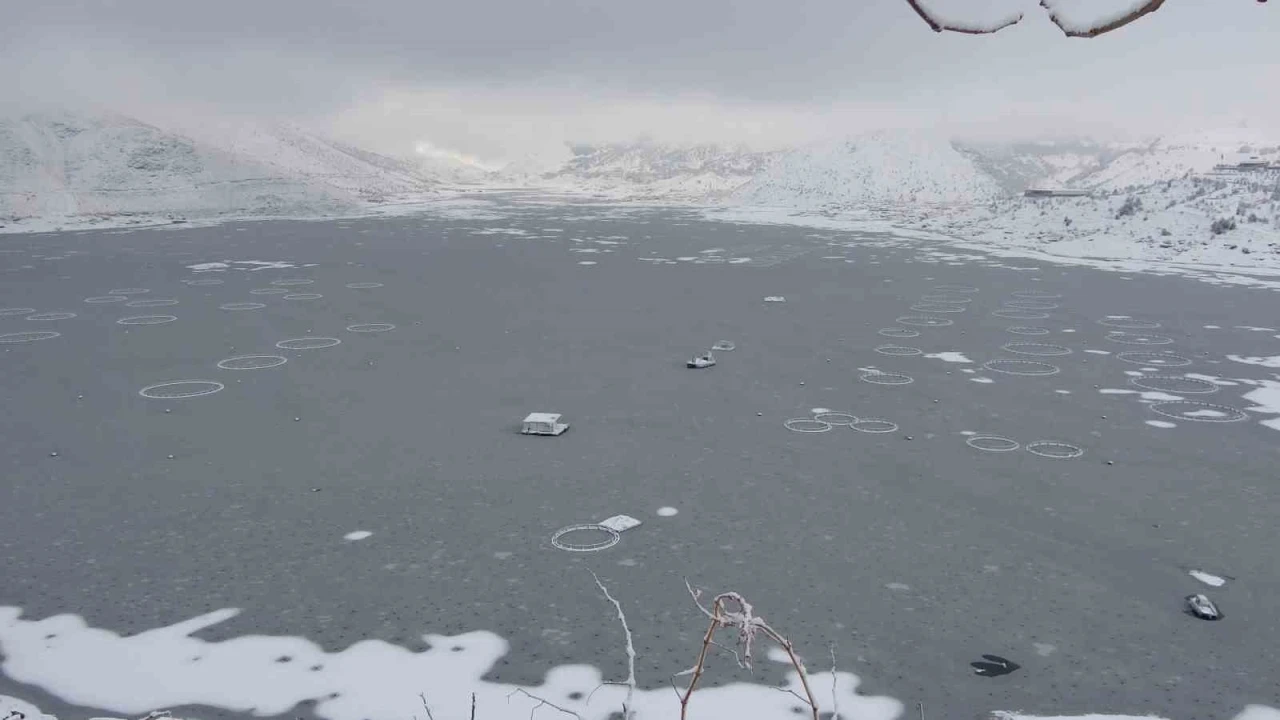 Adıyaman&rsquo;da &Ccedil;at Barajı&rsquo;nın y&uuml;zeyi buz tuttu
