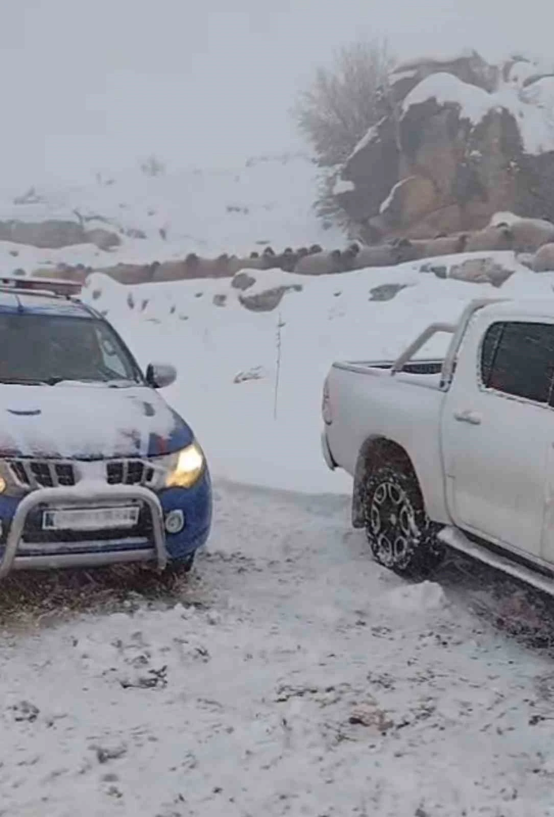 Adıyaman&rsquo;da dağda mahsur kalan iki &ccedil;oban ve 800 k&uuml;&ccedil;&uuml;kbaş hayvan kurtarıldı
