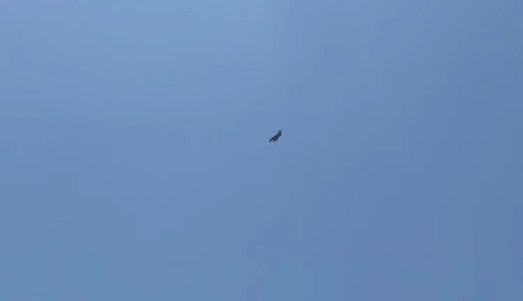 Adıyaman’da F16 savaş uçağı nefes kesti
