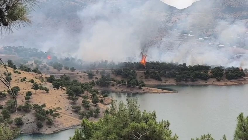 Adıyaman’da ormanlık alanda yangın
