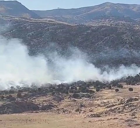 Adıyaman&rsquo;da ormanlık alanda yangın
