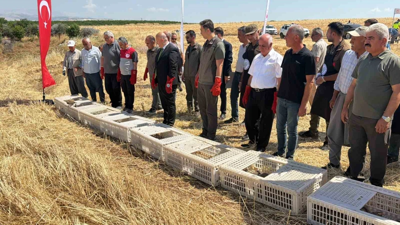 Adıyaman doğasına bin adet keklik salındı
