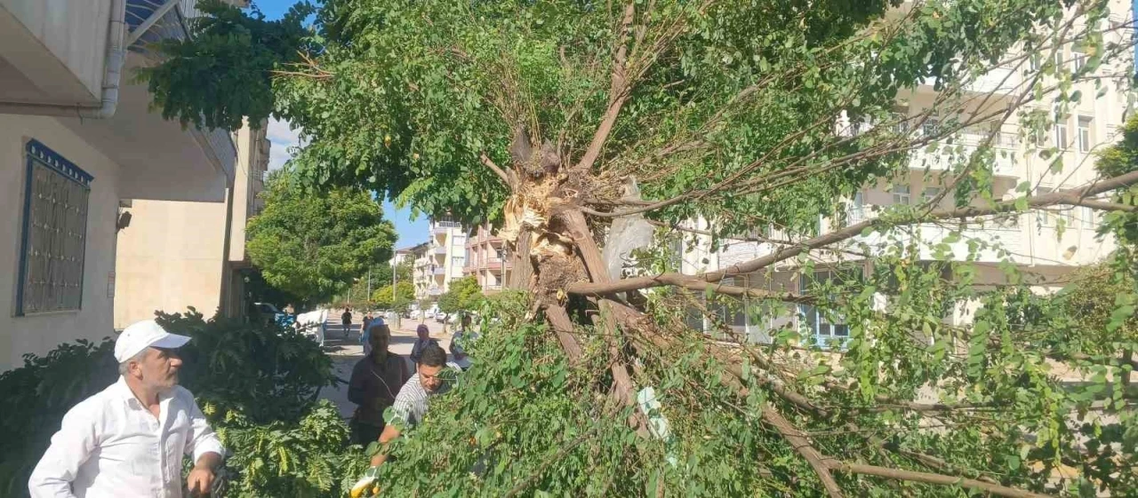 Adıyaman Gölbaşı’nda fırtına etkili oldu
