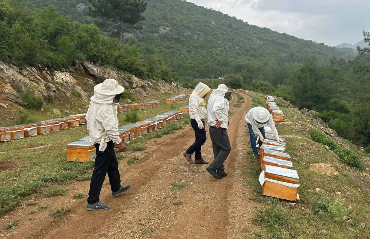 Adıyamanlı arıcılar, 2025 yılı bal fiyatlarını açıkladı
