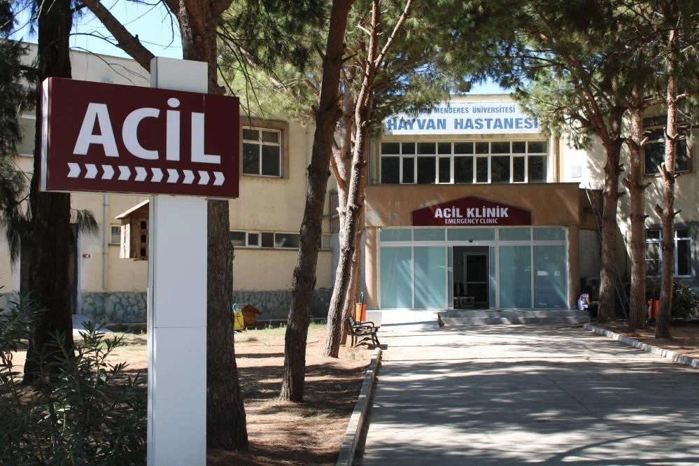 AD&Uuml; Hayvan Hastanesi&rsquo;nde online randevu d&ouml;nemi başladı
