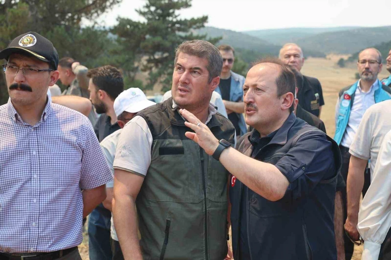 AFAD: &quot;Yangınlara karşı mücadele kapsamında 4 bin 231 personel, 45 hava aracı ve bin 236 kara aracı görev yapmaktadır&quot;
