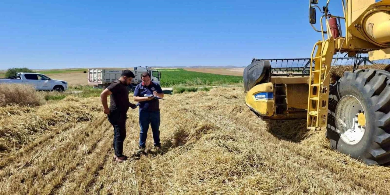 Afyonkarahisar&rsquo;da hububat hasadı başladı
