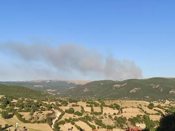 Afyonkarahisar’da orman yangını
