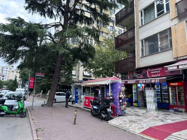 Ağa&ccedil;ta mahsur kalan kedi salamla ikna edildi
