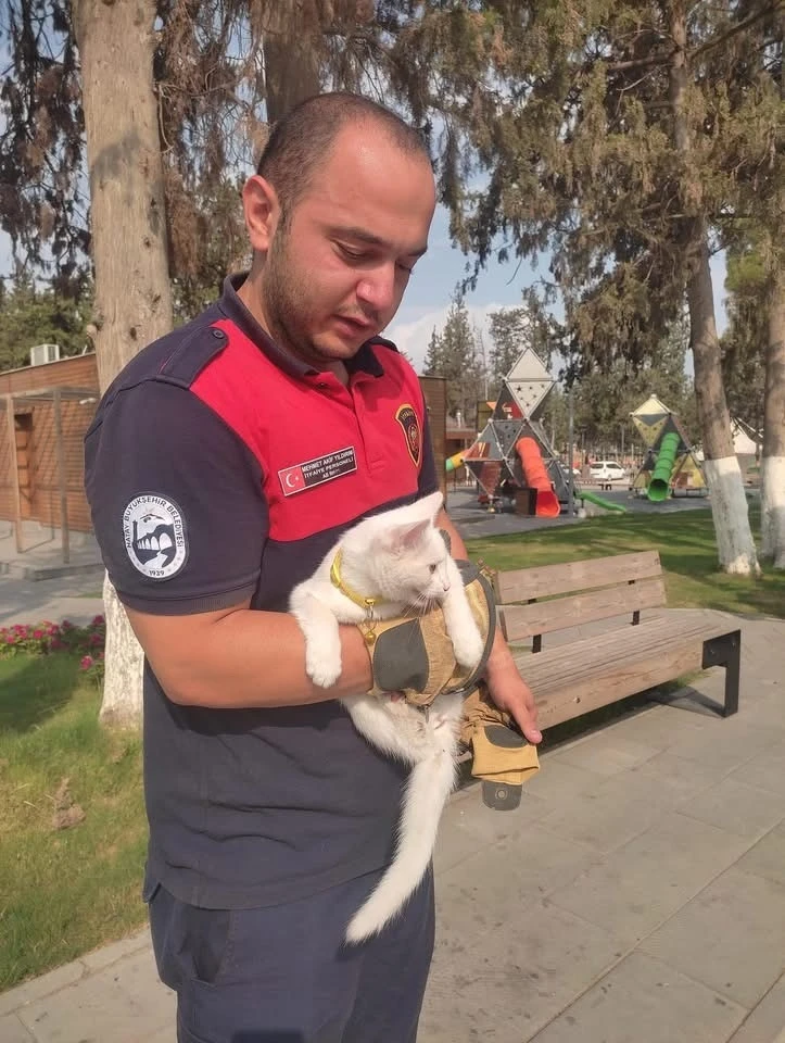 Ağaçta mahsur kalan kediyi itfaiye kurtardı
