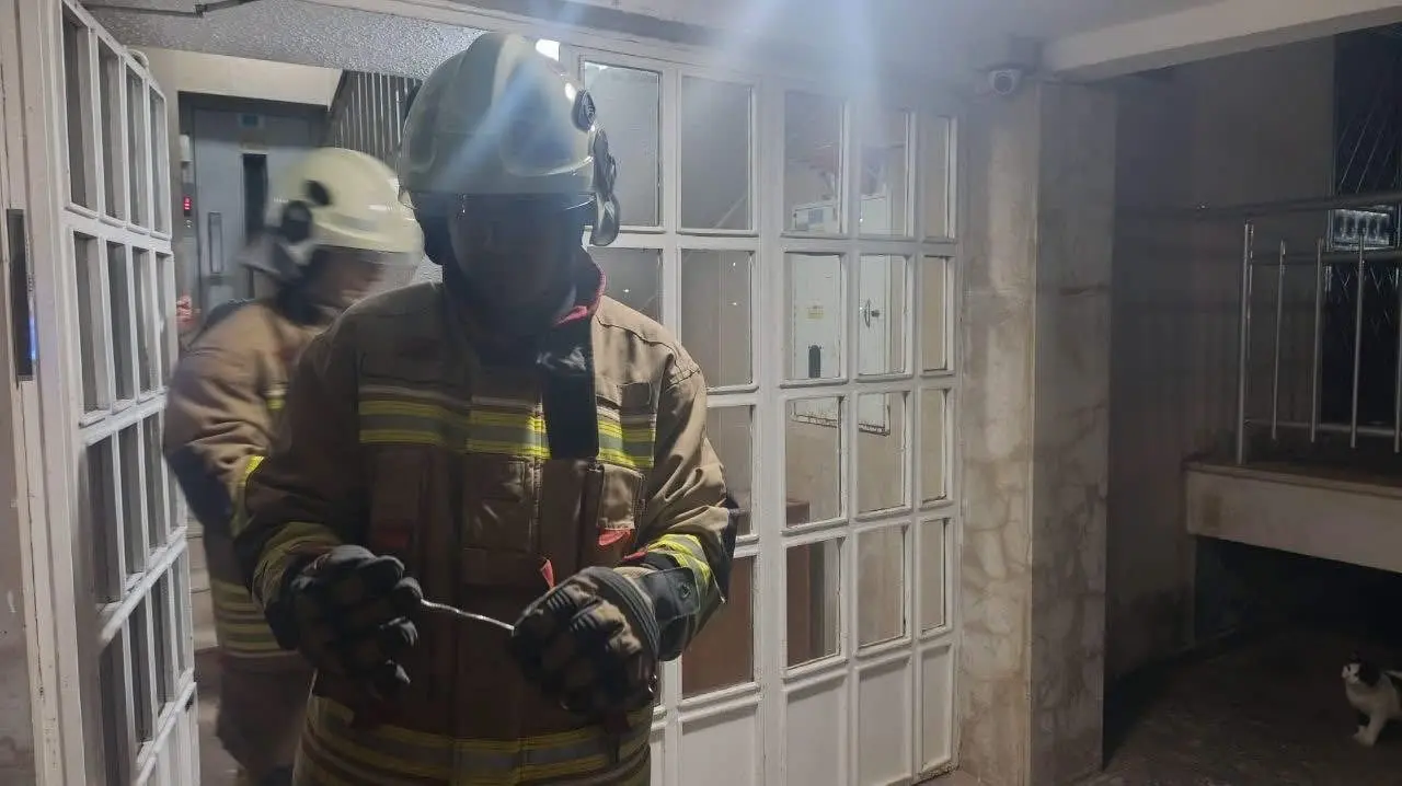 İskenderun’da yerleşim yerinde görülen yılan yakalanarak doğaya bırakıldı