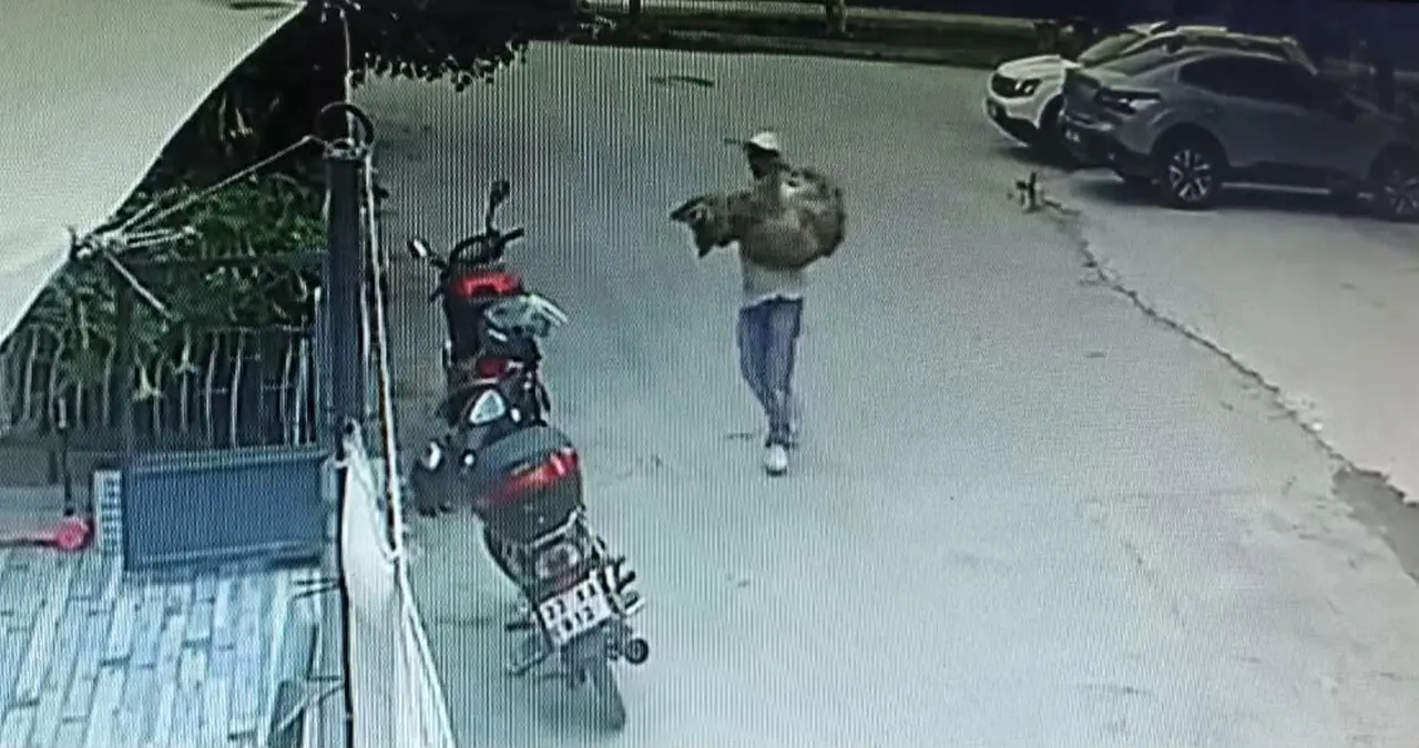 Araçla ezilen köpek kurtarılamadı