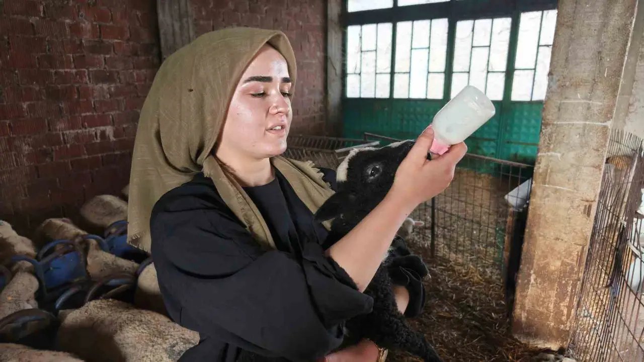 Devlet desteğiyle çiftçi olan genç kadın, hayallerine kavuştu