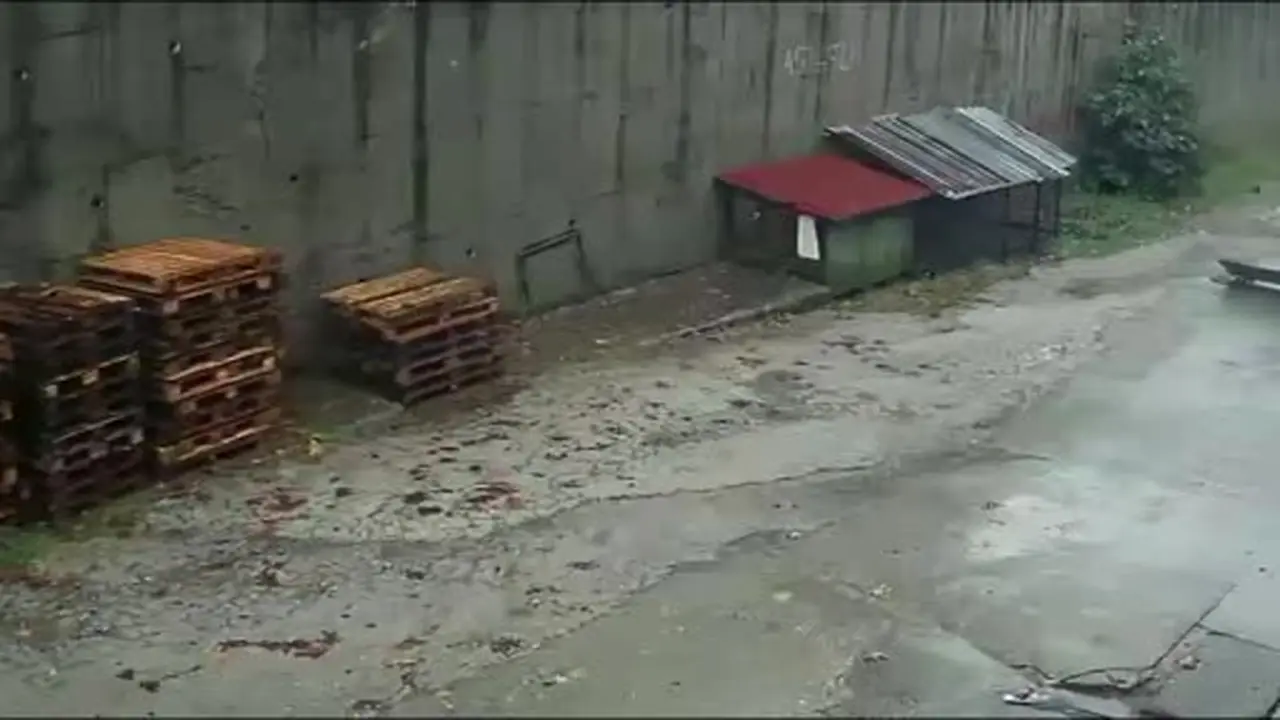 Zonguldak’ta istinat duvarının çöktüğü anlar kamerada: Köpekler telef oldu, 2 araç enkaz altında kaldı