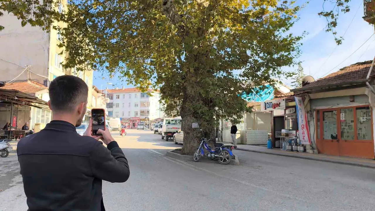 Bir zamanlar darağacı olarak kullanıldığı rivayet edilen çınar, ilçenin simgesi oldu
