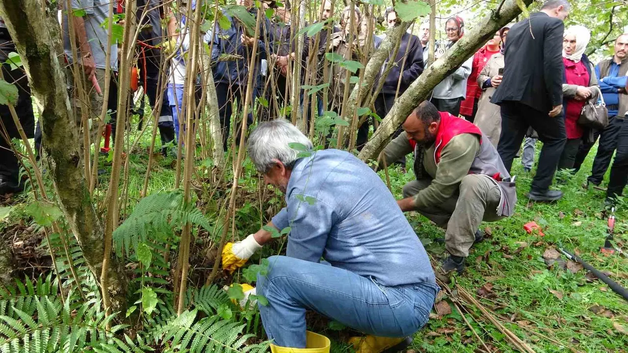 Giresun’da fındıkta verimi artırmak için üreticilere uygulamalı budama eğitimi veriliyor