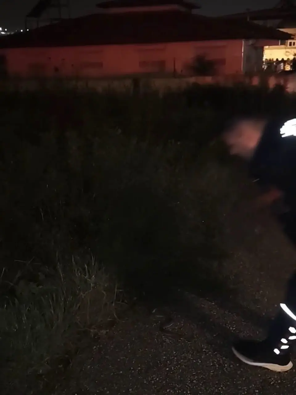 Defne’de yerleşim yerinde görülen yılan doğaya bırakıldı