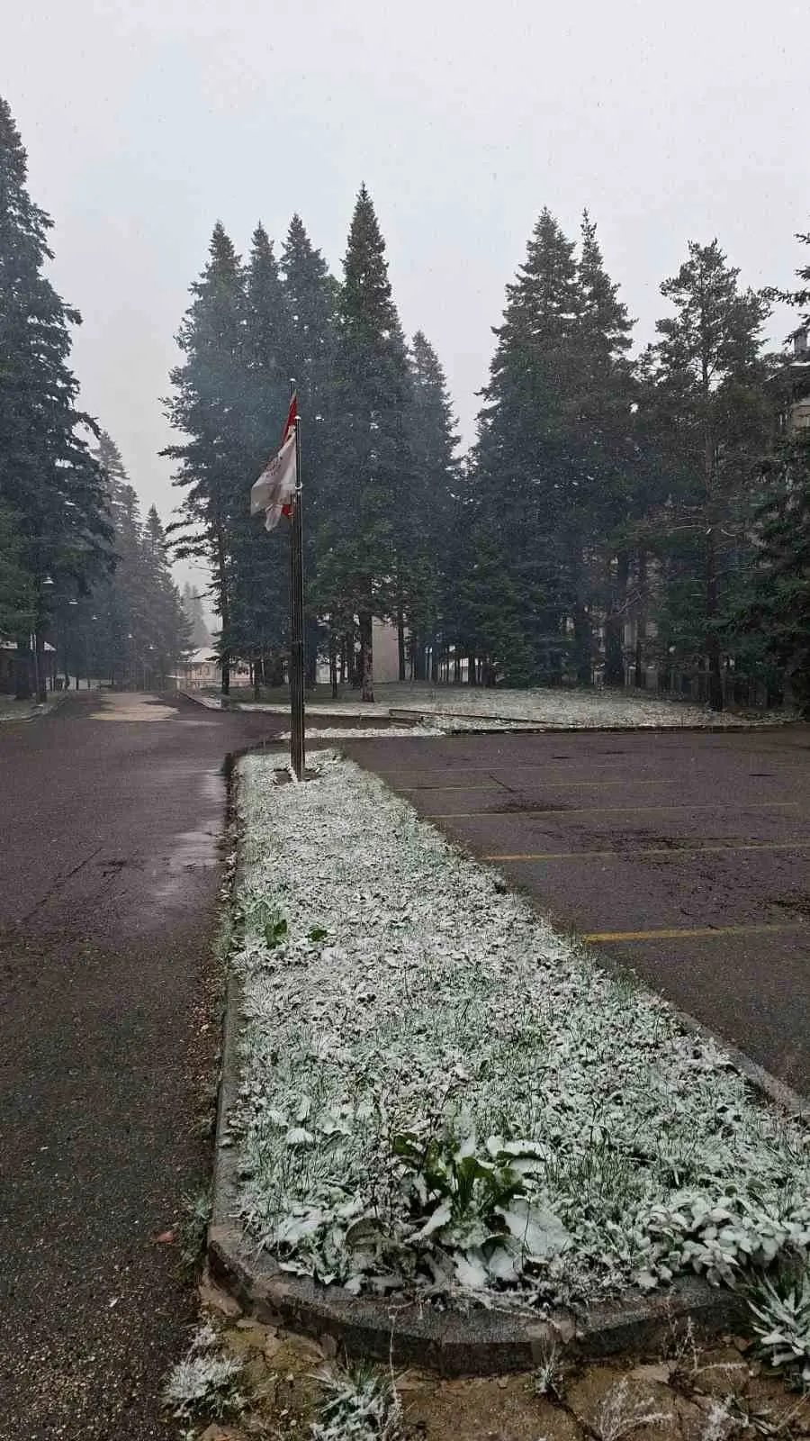 Ilgaz Dağı’nda kar yağışı etkili oluyor